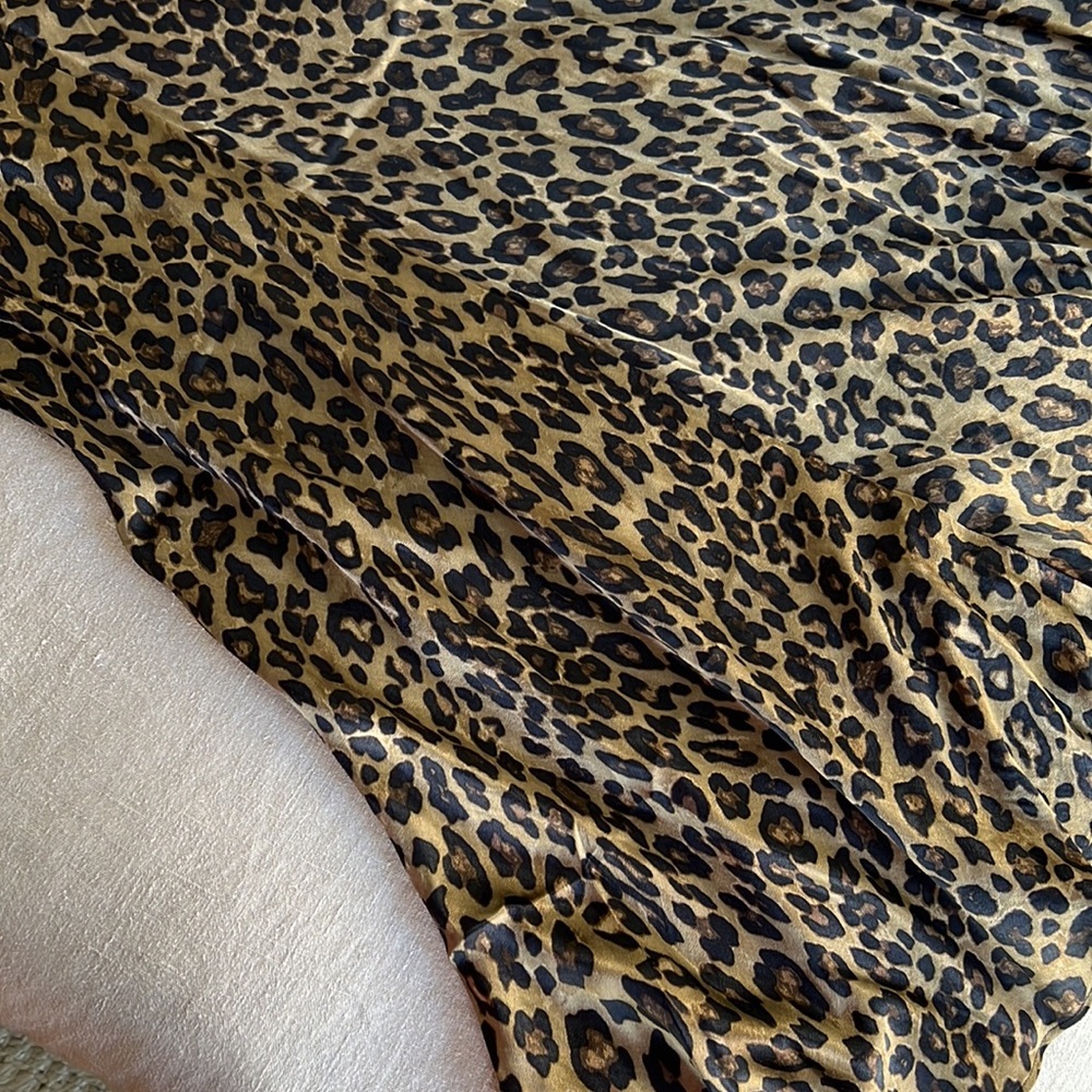 Zara Leopard Print Skirt